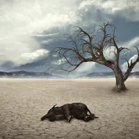 mass-extinction