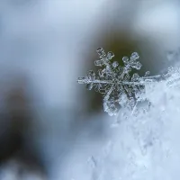 snow 1280