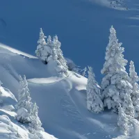 snow