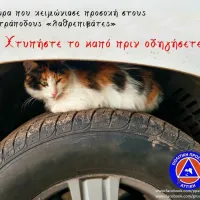 ππα