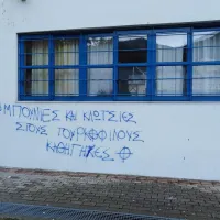 χρυσαυγιτες ξανθη