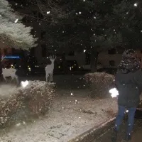 Γιάννενα