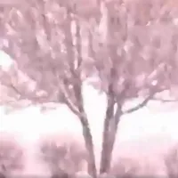 χιονι καταιγιδα