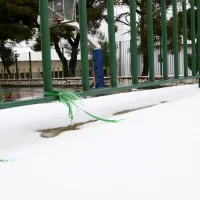 σχολειο χιονι