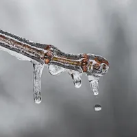 ice