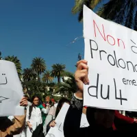 algeria protests