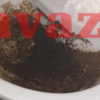 Ζένιτσα