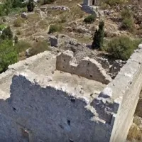 haanity video