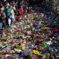 new zealand attack