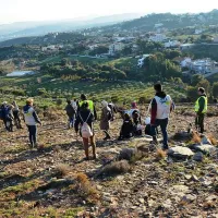 Δενδροφύτευση στο Πεντελικό