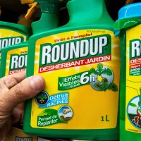 roundup