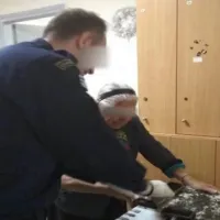 τερλικια 90χρονη