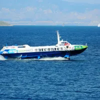flying dolphin 18