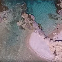 haanity video