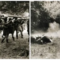 Σφαγή στο Κοντομαρί 