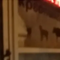 Σπάσιμο κρεοπωλείου στα Εξάρχεια