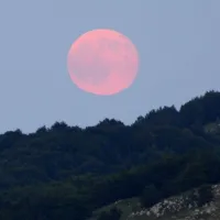 Ροζ Φεγγάρι