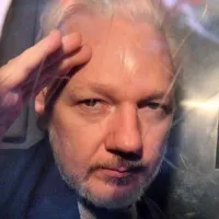 assange