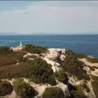 βιντεο