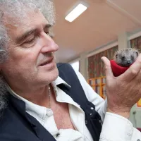 brian may