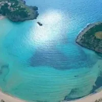 Βοϊδοκοιλιά