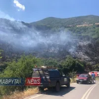 καλαβρυτα φωτια