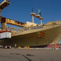 dole honduras