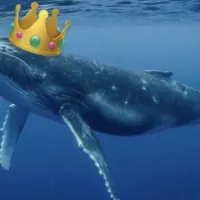 Φάλαινα