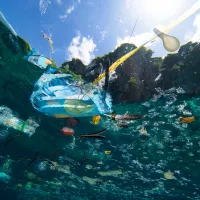 garbage sea