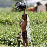 heatwave india