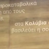 Καλύβια