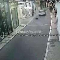 σκυλος μυτιληνη