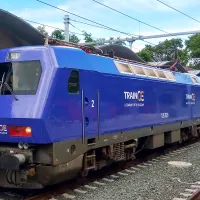 trainose