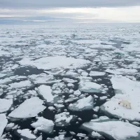 21 celsius north pole