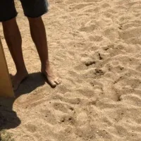Καταγγελία