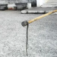 Φίδι στη Βόνιτσα