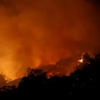fires