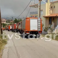 Φωτιά στην Εύβοια