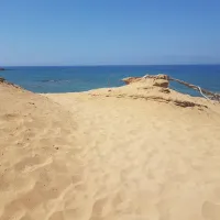 γαυδος