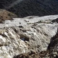 Αιγοπρόβατα στα Λευκά Όρη