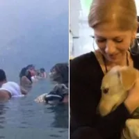 Μάτι ανάρτηση