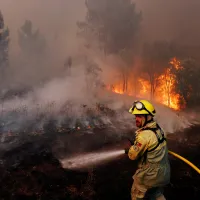 porugal fires