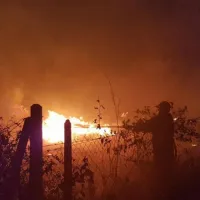 πυρκαγιά σε δασική έκταση στην Αγ. Παρασκευή στη Χαλκιδική