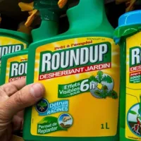 Roundup
