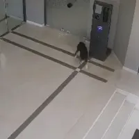 σεισμος