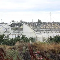 Θερμοκήπια Χαλκιδική