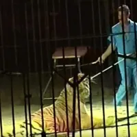 Θηριοδαμαστής 