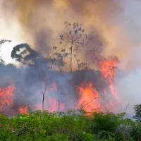 amazonia fire brazil