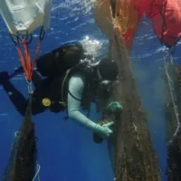 Πλαστικά στην Άνδρο