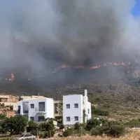 Ελαφόνησος